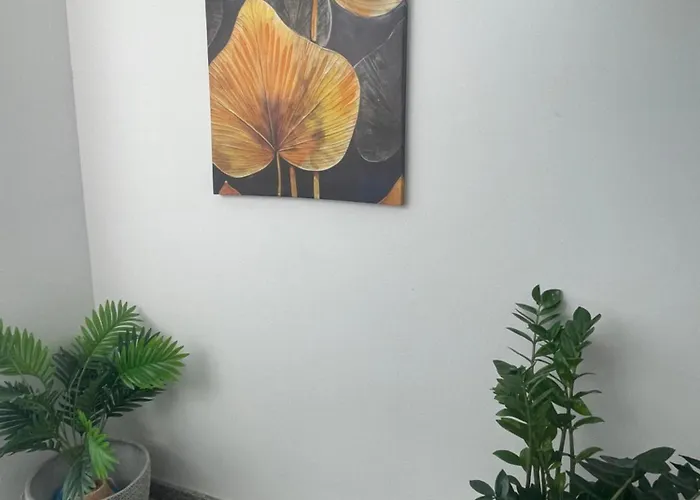 Beachfront 1 * Сент-Полс-Бей